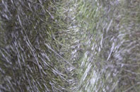 College Of Roseisle fibreglass roof work